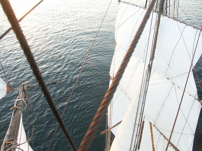 080508_Roald_Amundsen 317.jpg